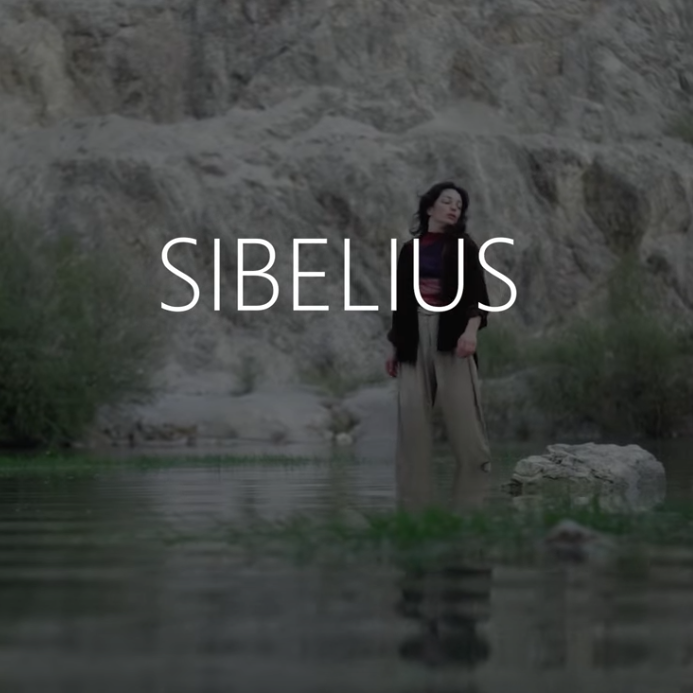 jan sever sibelius video